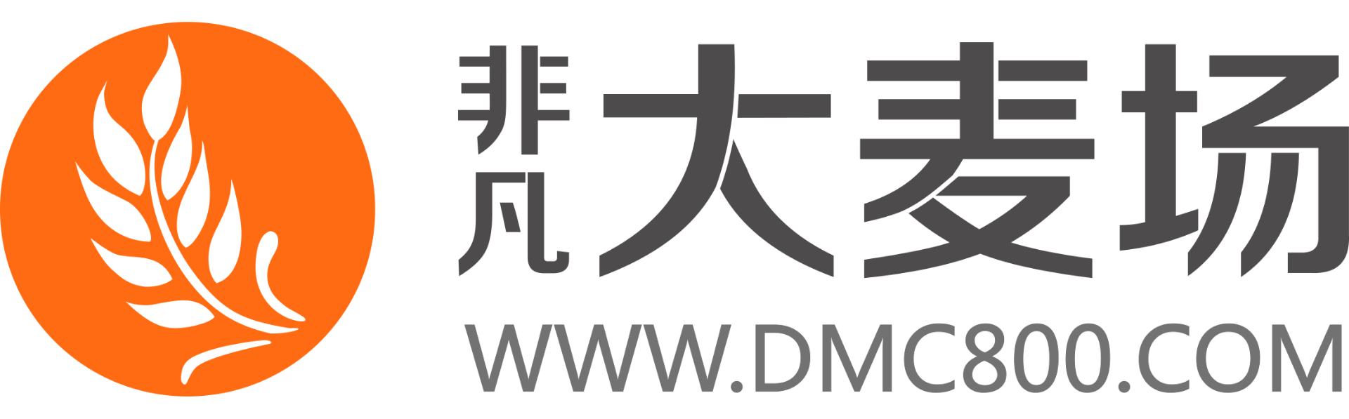 大麦信息科技
